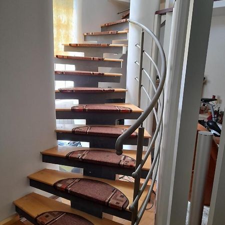 Villa Casa Zoe Seaca à Călimăneşti Extérieur photo