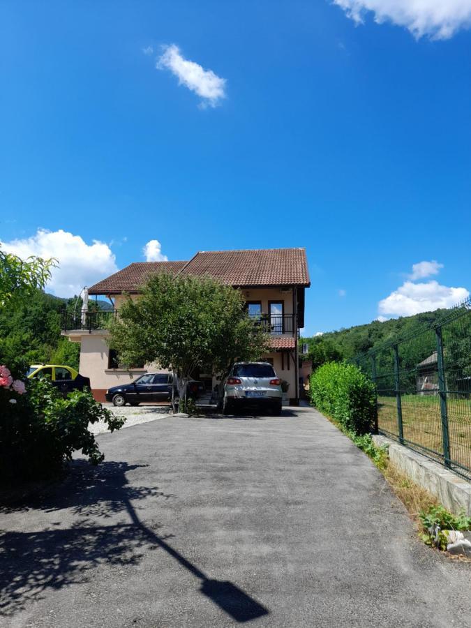 Villa Casa Zoe Seaca à Călimăneşti Extérieur photo