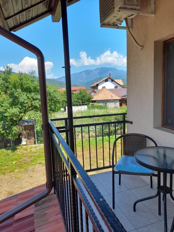 Villa Casa Zoe Seaca à Călimăneşti Extérieur photo