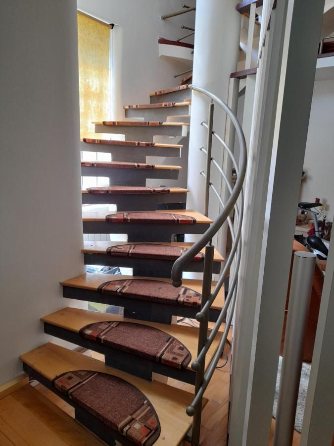 Villa Casa Zoe Seaca à Călimăneşti Extérieur photo