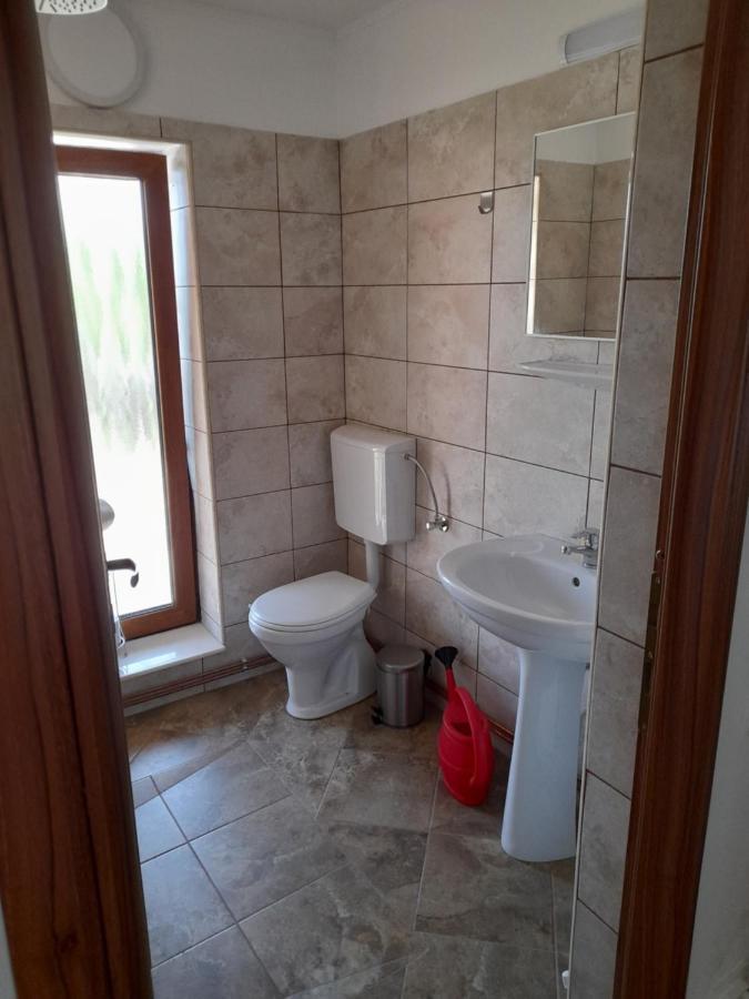 Villa Casa Zoe Seaca à Călimăneşti Extérieur photo
