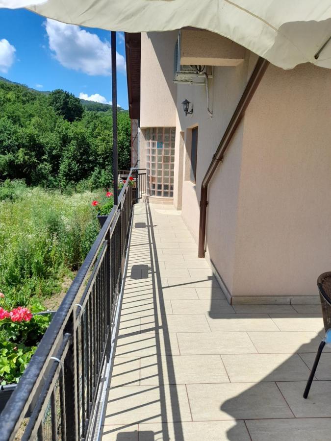 Villa Casa Zoe Seaca à Călimăneşti Extérieur photo