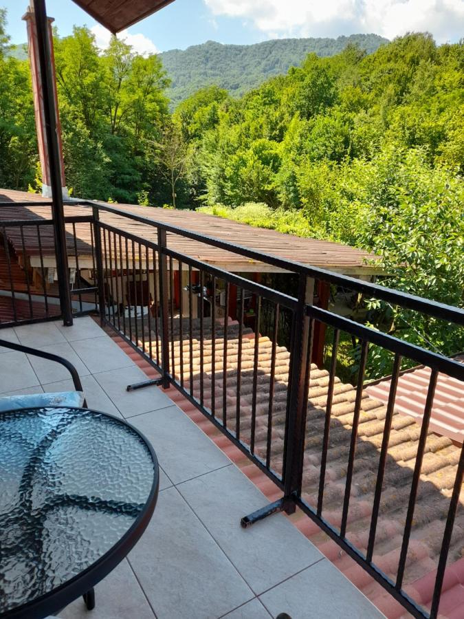 Villa Casa Zoe Seaca à Călimăneşti Extérieur photo