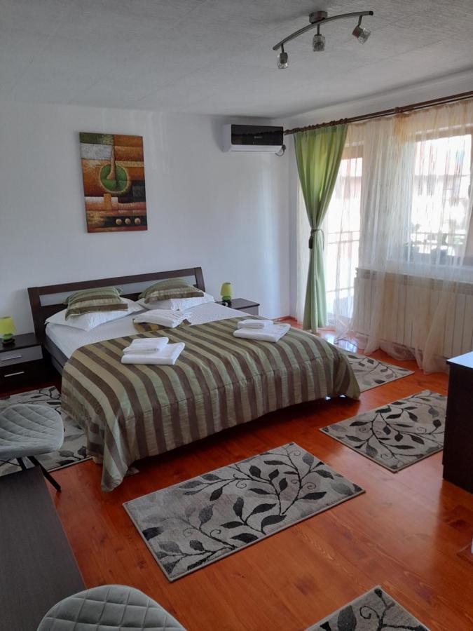 Villa Casa Zoe Seaca à Călimăneşti Extérieur photo